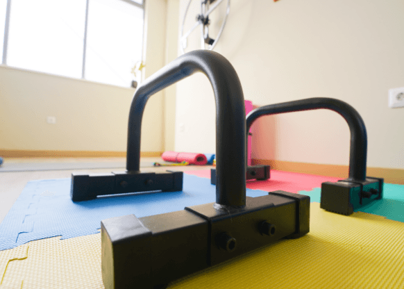 physiotherapy-workout-parallettes-strengthening.png